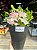 Cone Black 4 rosas Cor de Rosa - Imagem 3