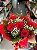 Buquê 6 Rosas Colombianas (ROSAS IMPORTADAS) - Imagem 1