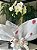 Orquídea Phalaenopsis Branca - Imagem 2