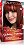 Coloração Kit 66.74 Ruivo Doce de Leite - Beauty Color - Imagem 1