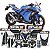 Kit Protetores Resinados Kawasaki Ninja 300 Carbono Azul - Imagem 1