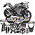 Kit Protetores Resinados Kawasaki Ninja 300 Carbono Prata - Imagem 1