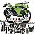Kit Protetores Resinados Kawasaki Ninja 300 Carbono Verde - Imagem 1