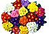 60 Sementes de Primula Elatior Sortida - Imagem 1