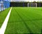 124.000 Sementes De Grama Bermuda Campo De Futebol (40m²) - Imagem 1