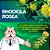 Rhodiola Rosea 500mg :  Energia, Vitalidade, Anti Stress - Imagem 2