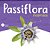 Passiflora Incarnata 250mg : 240 Cápsulas - Imagem 2