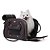 Kit Chachá Marrom Exclusivo para Seu Pet Tamanho P - Imagem 5