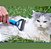 Desembolador Removedor De Pelos Pet Rake Escova Subpelos Cães e Gatos - Luatek - Imagem 3