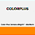 Papel Color Plus Jamaica 80g/m² 66x96cm - Pacote com 50 folhas - Imagem 1