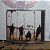 Cd Hootie & The Blowfish - Cracked Rear View - Imagem 4