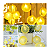 Cordão Luminária Varal de Luz de Limão 10 Leds USB\PIlhas Festas e eventos - Imagem 1