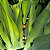 Colar Esferas - Imagem 1