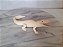 Miniatura de vinil Safar, white alligator / jacaré 16 cm de comprimento branco - Imagem 4