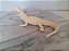 Miniatura de vinil Safar, white alligator / jacaré 16 cm de comprimento branco - Imagem 2