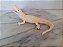 Miniatura de vinil Safari, white alligator / jacaré 16 cm de comprimento branco - Imagem 2