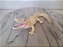 Miniatura de vinil Safar, white alligator / jacaré 16 cm de comprimento branco - Imagem 1