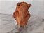 Pelúcia do Ewok da Star Wars  Disney Parks 10 cm - Imagem 5
