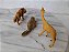 Anos 70 a 80 miniatura animais selvagens de plástico, feitos na Argentina, inclui lobo - Imagem 4
