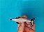 Miniatura de vinil  5 golfinhos variados, marcas Safari e SeaWorld, 7 cm de comprimento, usados - Imagem 4