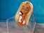 Antiga mini boneca de borracha peladinha de signo Áries  7 cm - Imagem 1