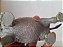 Miniatura de vinil  de Rinoceronte marca Toy Major Trading 2007 - 15 cm.comprimento - Imagem 6