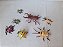 Miniatura de plástico lote 7 insetos incluindo joaninha amarela 5cm e besouro marrom 9cm - Imagem 2
