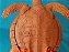 Miniatura de vinil vintage de tartaruga pente, marca Toy 16 cm Major - Imagem 7