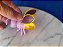 Miniatura Disney de vinil  Vagalume que acende da Tinkerbell, 6 cm - Imagem 6