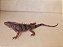 Iguana de borracha flexível da Toy Major ,  33 cm de comprimento - Imagem 3