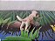 Miniatura de vinil Schleich de filhote de dálmata 6 cm de comprimento - Imagem 3