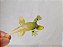 Miniatura dragão Komodo do Secret Saturday - cartoon Network, 10 cm comprimento - Imagem 1