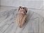 Miniatura Star Wars Figure Bantha micro machines 1996 - Imagem 5