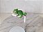 Miniatura Disney camaleão Pascal da Rapunzel.desenho Enrolados. 3,5cm comprimento - Imagem 1