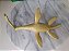 Dinossauro Elasmosaurus de vinil.colecao Salvat 22 cm comprimento, usado - Imagem 5