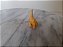 Anos 80, miniatura plástica dente de sabre amarelo 5, 5 cm dos Flintstones, promoção Chamburcy - Imagem 6