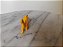 Anos 80, miniatura plástica dente de sabre amarelo 5, 5 cm dos Flintstones, promoção Chamburcy - Imagem 4