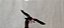 Miniatura de vinil urubu de asas abertas , sem  marca , 7cm de comprimento, 11 cm envergadura usada - Imagem 2