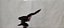 Miniatura de vinil urubu de asas abertas , sem  marca , 7cm de comprimento, 11 cm envergadura usada - Imagem 5