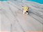 Miniatura de vinil cachorro Milo do Maskara 1994, 3,5 cm comprimento - Imagem 4