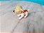 Miniatura de vinil cachorro Milo do Maskara 1994, 3,5 cm comprimento - Imagem 3