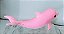 Golfinho rosa com ruido da Barbie treinadora de golfinhos 19 cm, usado - Imagem 4