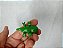 Miniatura Disney de vinil estática de camaleão Pascal da Rapunzel do Enrolados 4,5 cm comprimento - Imagem 5