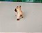 Miniatura bibelô gato gatinho filhote siamês porcelana - Imagem 4