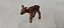 Playmobil, filhote de cervo marrom escuro, pescoço articulado usado - Imagem 2