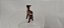 Playmobil, filhote de cervo marrom escuro, pescoço articulado usado - Imagem 3
