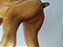Acessório para boneco Action Man cachorro Mastiff - Imagem 9