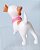 Cachorro Jack Russel pet da Barbie Moda e Magia - Imagem 1