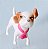 Cachorro Jack Russel pet da Barbie Moda e Magia - Imagem 4