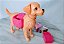 Cachorro da Barbie em treinamento, usado - Imagem 6